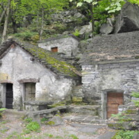 .Martin.Prochazka.