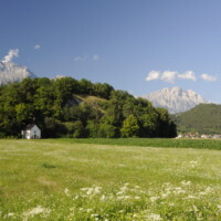 .Martin.Prochazka.