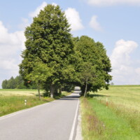 .Martin.Prochazka.